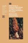 Field Guide to Common Macrofungi in Eastern Forests and Their Ecosystem Function - Book