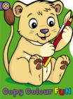 Copy Colour Fun: Lion Cub - Book