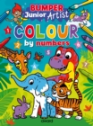 Junior Artist Bumper Colour By Numbers - Book