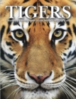 Tigers : Stunning Photographs of the World's Biggest Cats - Book