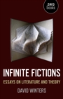 Infinite Fictions : Essays on Literature and Theory - eBook