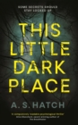 This Little Dark Place - eBook