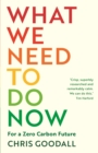 What We Need to Do Now : For a Zero Carbon Future - eBook