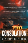 Consolation : Constable Hirsch Mysteries 3 - eBook
