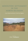 Mesolithic Settlement in the North Sea Basin : A Case Study from Howick, North-East England - eBook