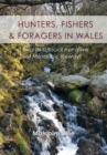 Hunters, fishers and foragers in Wales : Towards a social narrative of Mesolithic lifeways - Book