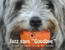 Jazz says Goodbye - eBook