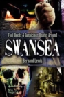 Foul Deeds & Suspicious Deaths Around Swansea - eBook
