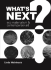 What's Next? : Eco Materialism and Contemporary Art - eBook