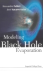 Modeling Black Hole Evaporation - eBook