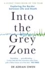 Into the Grey Zone - eBook