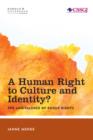 A Human Right to Culture and Identity : The Ambivalence of Group Rights - Book