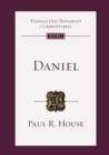 Daniel : An Introduction And Commentary - Book