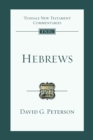 Hebrews : An Introduction and Commentary - Book