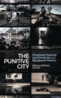 The Punitive City : Privatized Policing and Protection in Neoliberal Mexico - Book