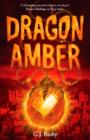 Dragon Amber - Book