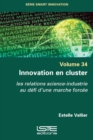 Innovation en cluster - eBook