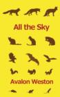 All the Sky - Book