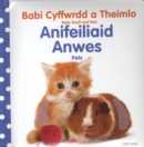 Babi Cyffwrdd a Theimlo: Anifeiliaid Anwes / Pets - Book