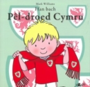Ffan Bach Pel-Droed Cymru - Book