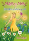 Cyfres Maes y Mes: Briallen a Brech y Mel - Book