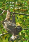 Amazing Animals of the Rainforest - eBook