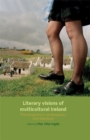 Literary visions of multicultural Ireland : The immigrant in contemporary Irish literature - eBook