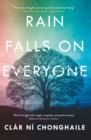 Rain Falls on Everyone : A search for meaning in a life engulfed by terror - Book