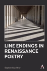 Line Endings in Renaissance Poetry - Book