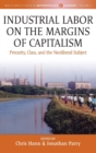 Industrial Labor on the Margins of Capitalism : Precarity, Class and the Neoliberal Subject - Book