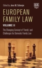 European Family Law Volume II : The Changing Concept of 'Family' and Challenges for Domestic Family Law - eBook