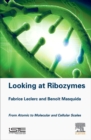 Looking at Ribozymes : From Atomic to Molecular and Cellular Scales - Book