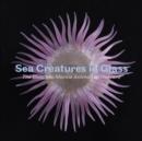 Sea Creatures in Glass : The Blaschka Marine Animals at Harvard - Book