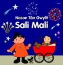Noson Tan Gwyllt Sali Mali - Book
