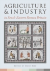 Agriculture and Industry in South-Eastern Roman Britain - eBook