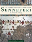 The Tomb of Pharaoh's Chancellor Senneferi at Thebes (TT99) - Book