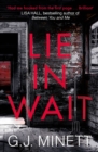 Lie in Wait : A dark and gripping crime thriller - Book