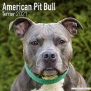 American Pit Bull Terrier 2021 Wall Calendar - Book