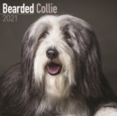Bearded Collie 2021 Wall Calendar - Book
