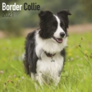 Border Collie 2021 Wall Calendar - Book