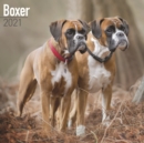 Boxer 2021 Wall Calendar - Book