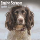 English Springer Spaniel 2021 Wall Calendar - Book