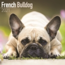 French Bulldog 2021 Wall Calendar - Book