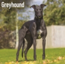 Greyhound 2021 Wall Calendar - Book
