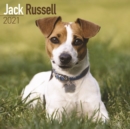 Jack Russell 2021 Wall Calendar - Book