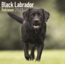 Black Labrador Retriever 2021 Wall Calendar - Book
