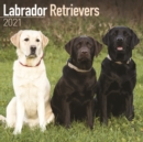 Labrador Retrievers 2021 Wall Calendar - Book