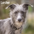 Lurcher 2021 Wall Calendar - Book