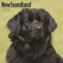 Newfoundland 2021 Wall Calendar - Book
