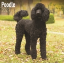 Poodle 2021 Wall Calendar - Book